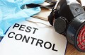Fort Western Pest Control Solutions